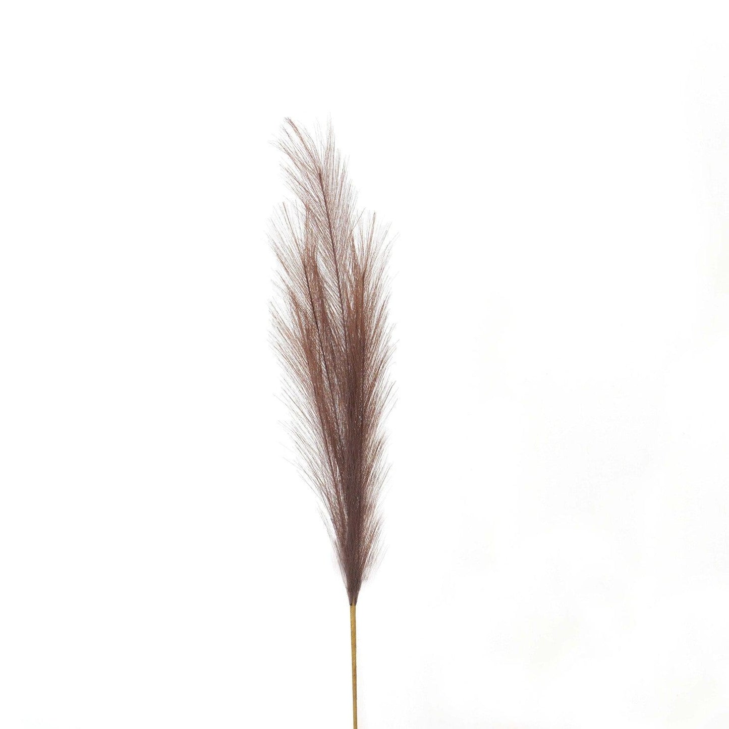 Taupe Faux Pampas Grass Stem - Eudemonia Home Goods