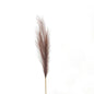 Taupe Faux Pampas Grass Stem - Eudemonia Home Goods