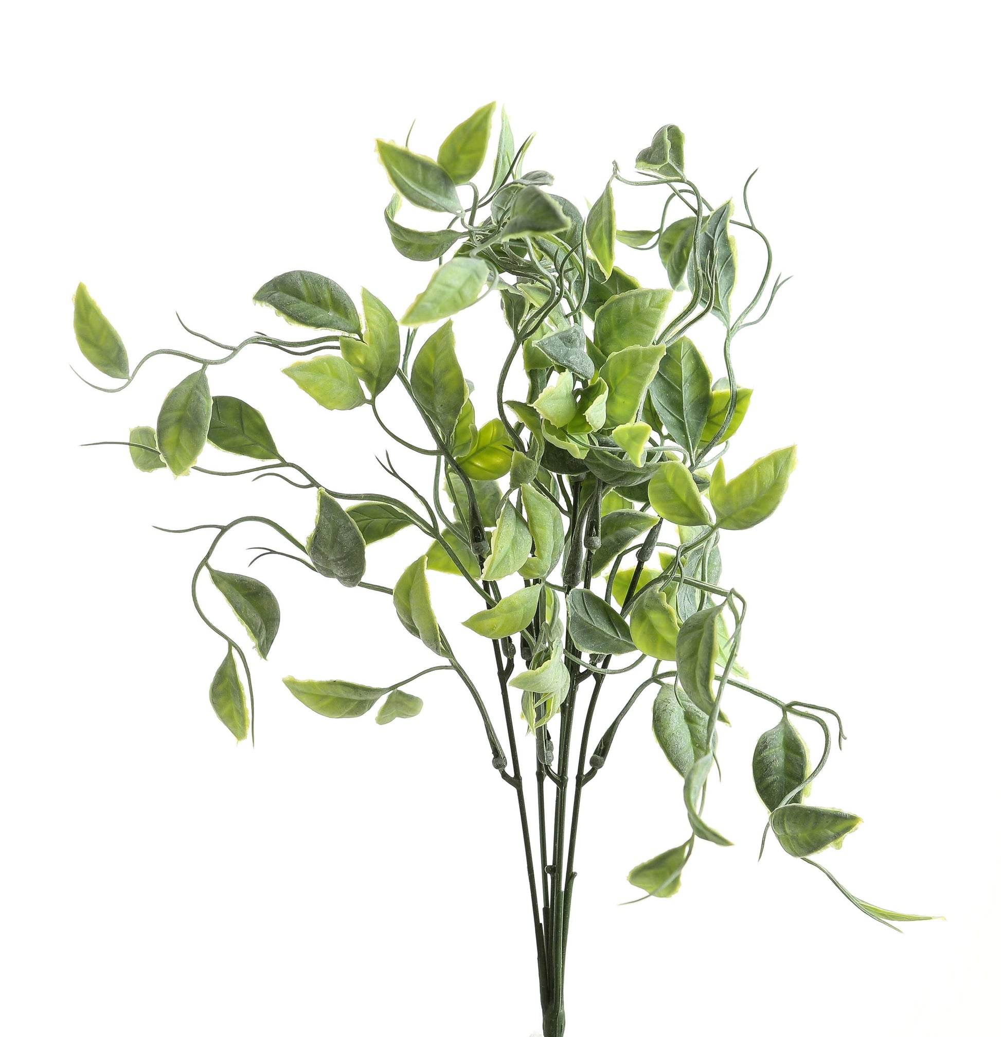 Green Shoots Greenery Bunch - Eudemonia Home Goods