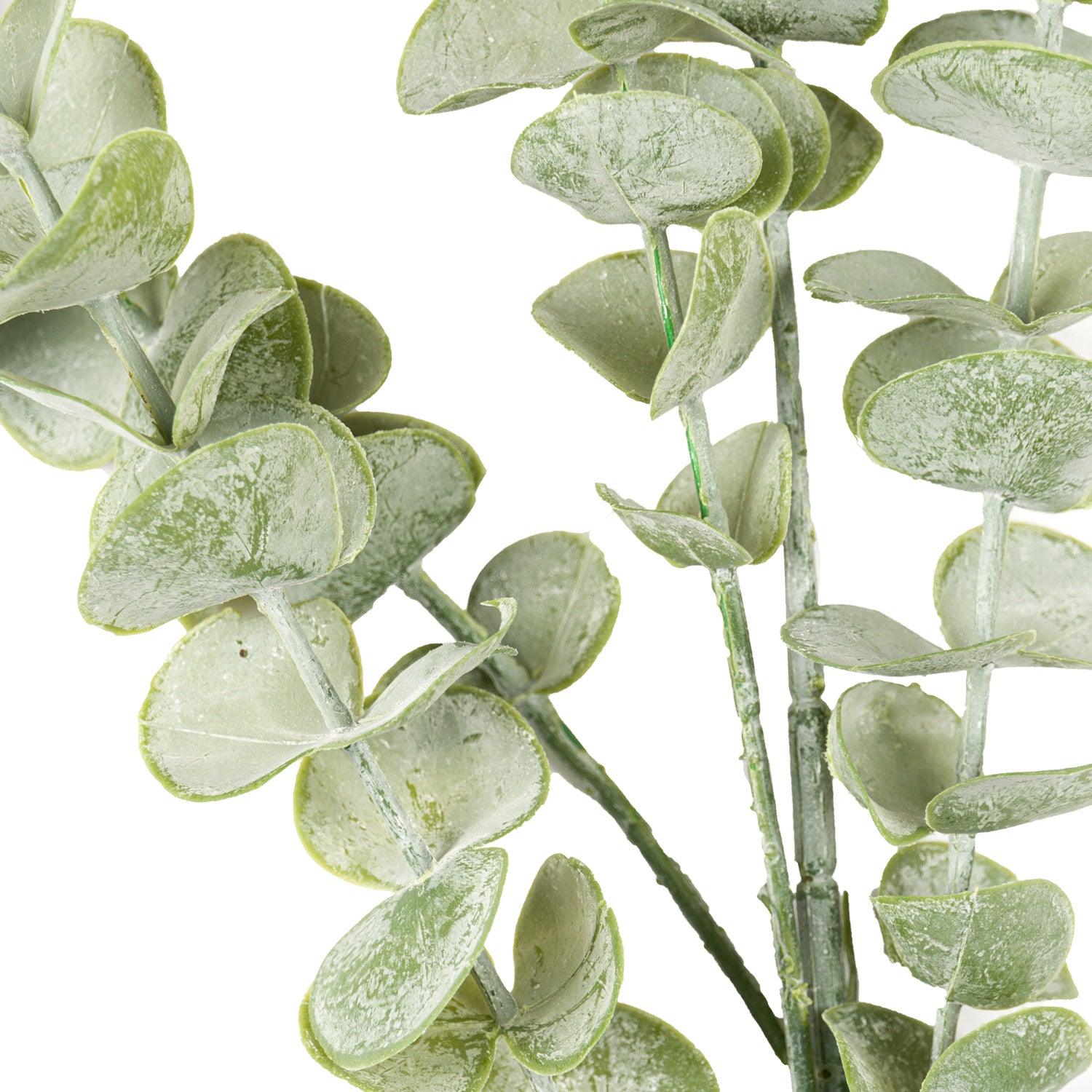 Gunnii Eucalyptus Spray - Eudemonia Home Goods