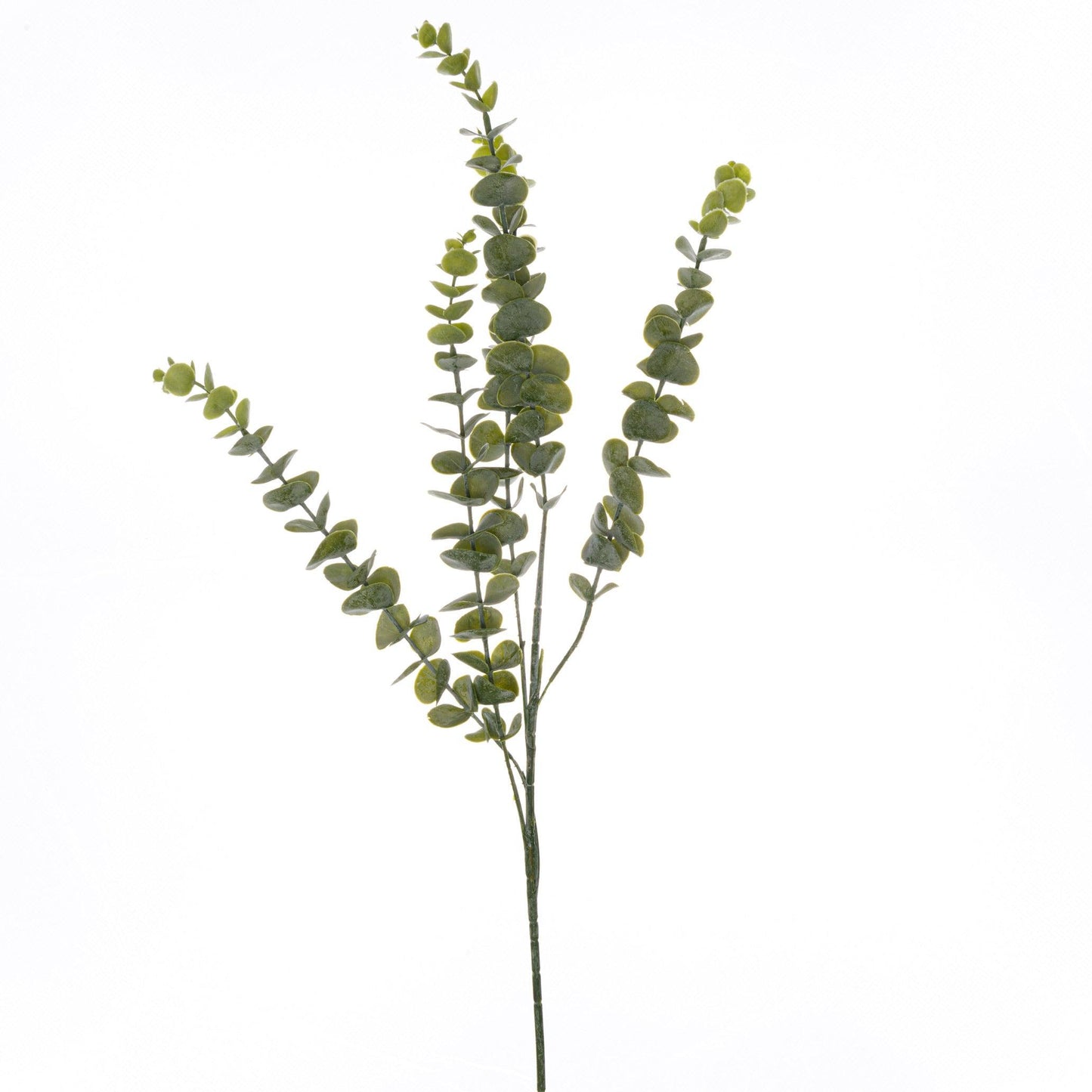 Gunnii Eucalyptus Spray - Eudemonia Home Goods