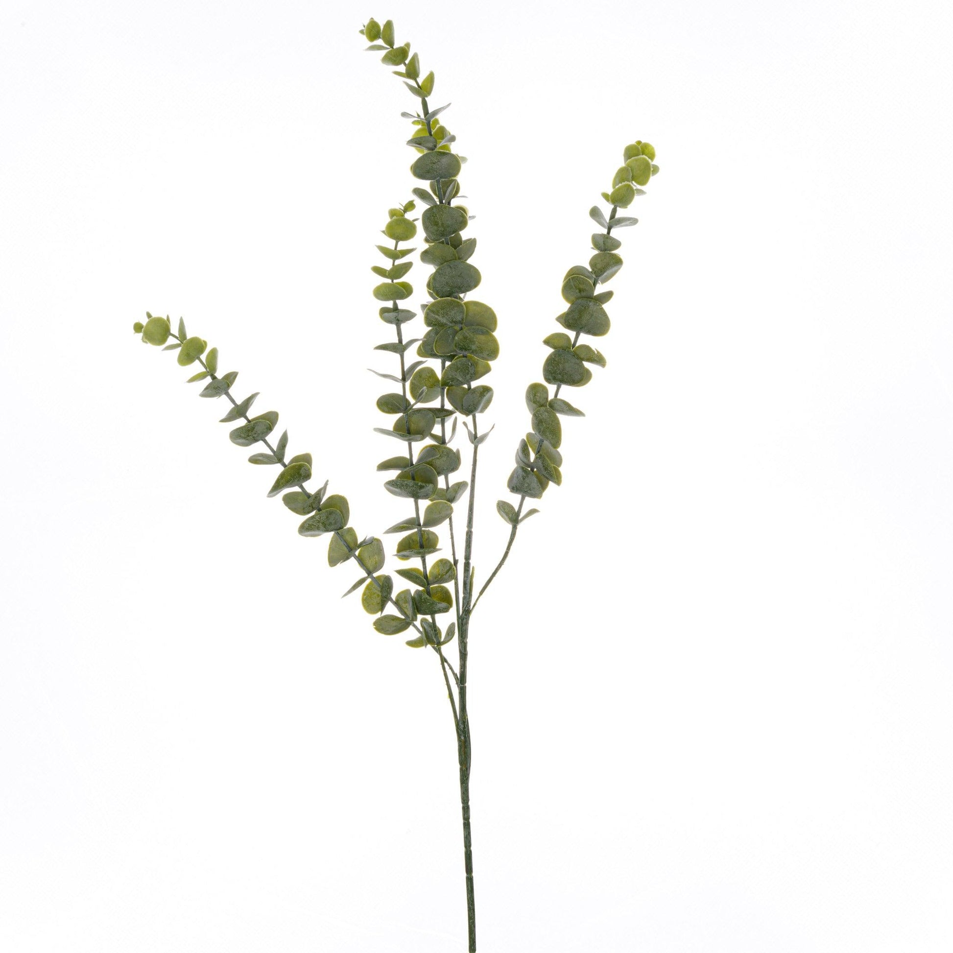 Gunnii Eucalyptus Spray - Eudemonia Home Goods