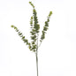 Gunnii Eucalyptus Spray - Eudemonia Home Goods