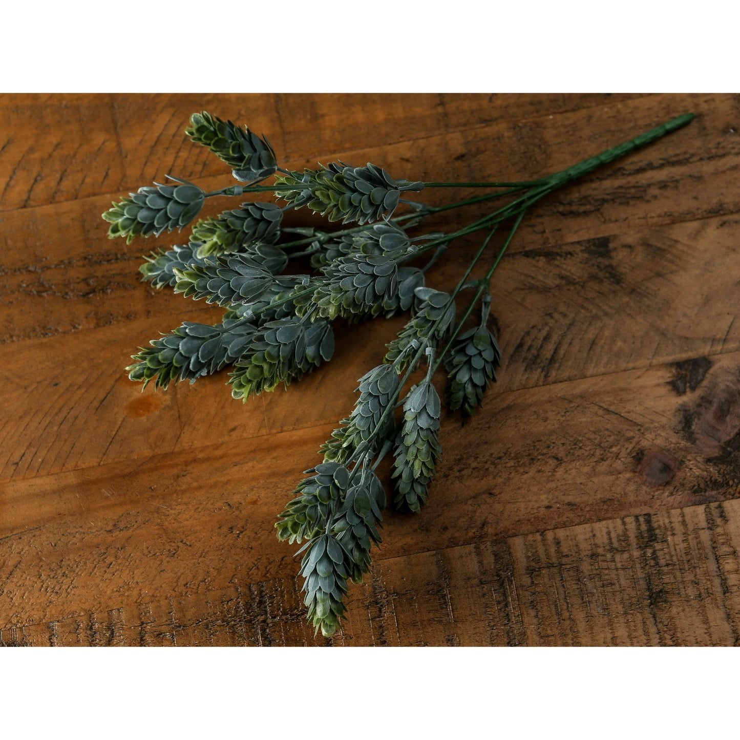 Hops Greenery Bunch - Eudemonia Home Goods