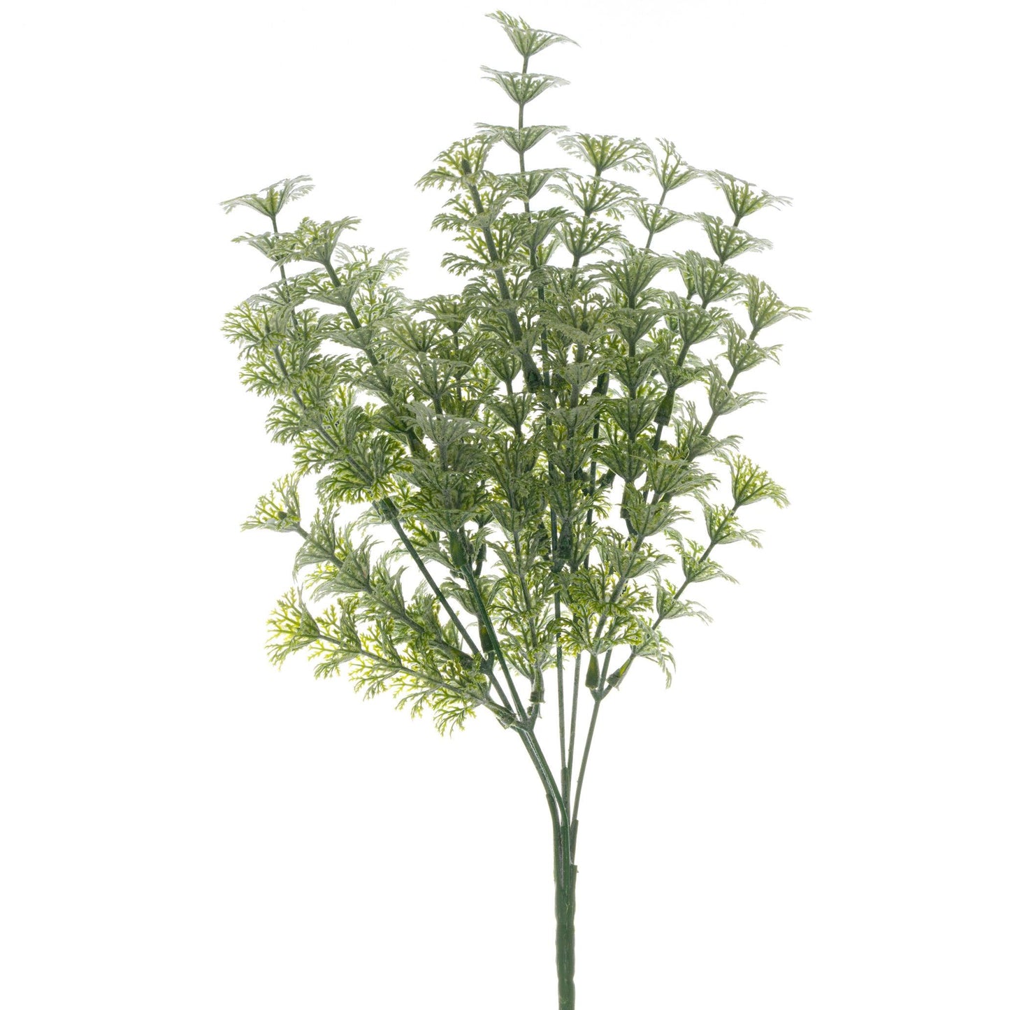 Sweet Grass Greenery Bunch - Eudemonia Home Goods