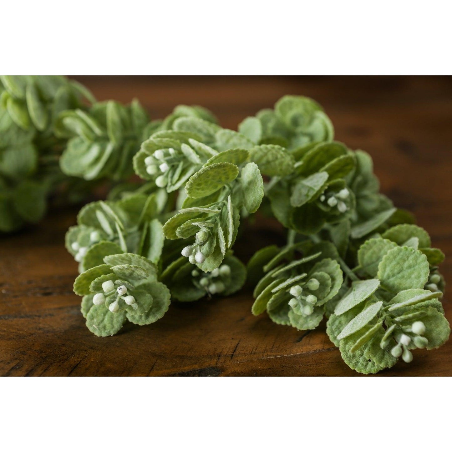 Spring Herb Greenery Bunch - Eudemonia Home Goods