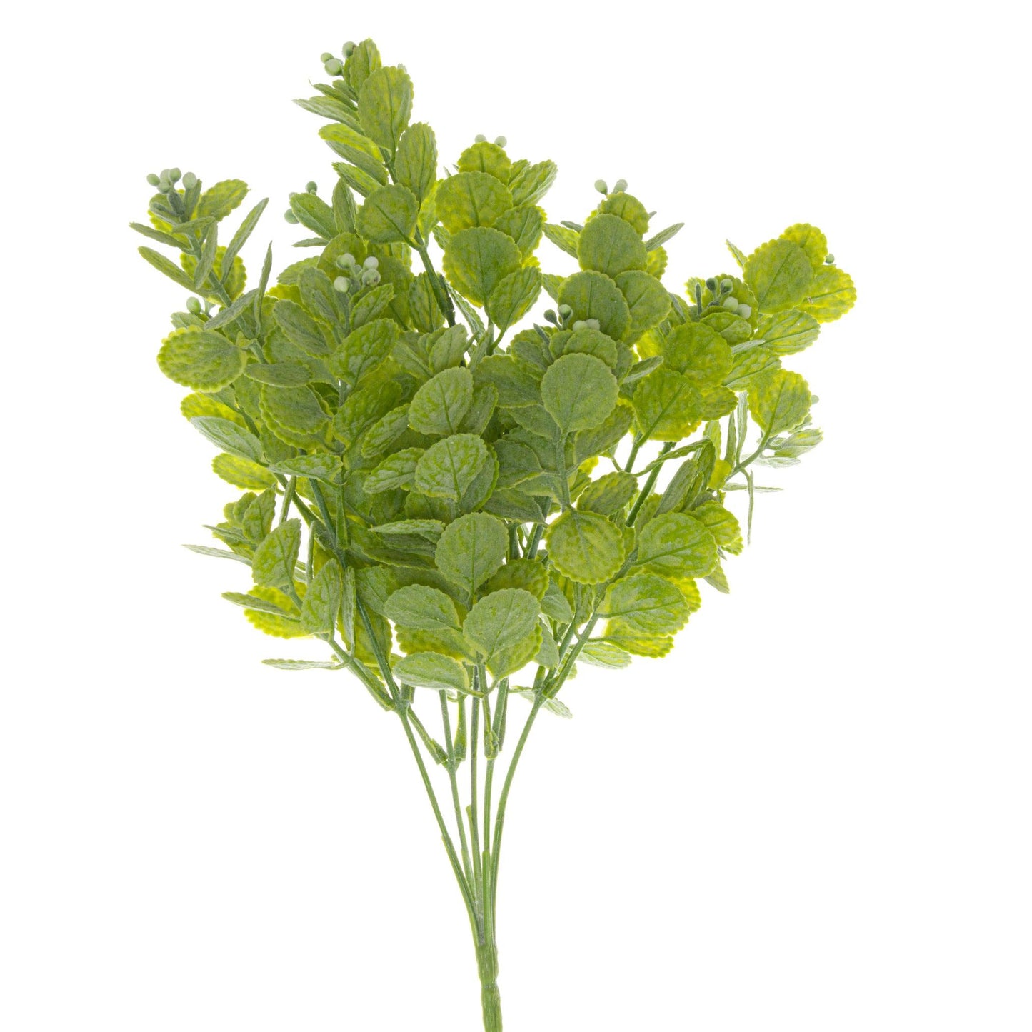 Spring Herb Greenery Bunch - Eudemonia Home Goods