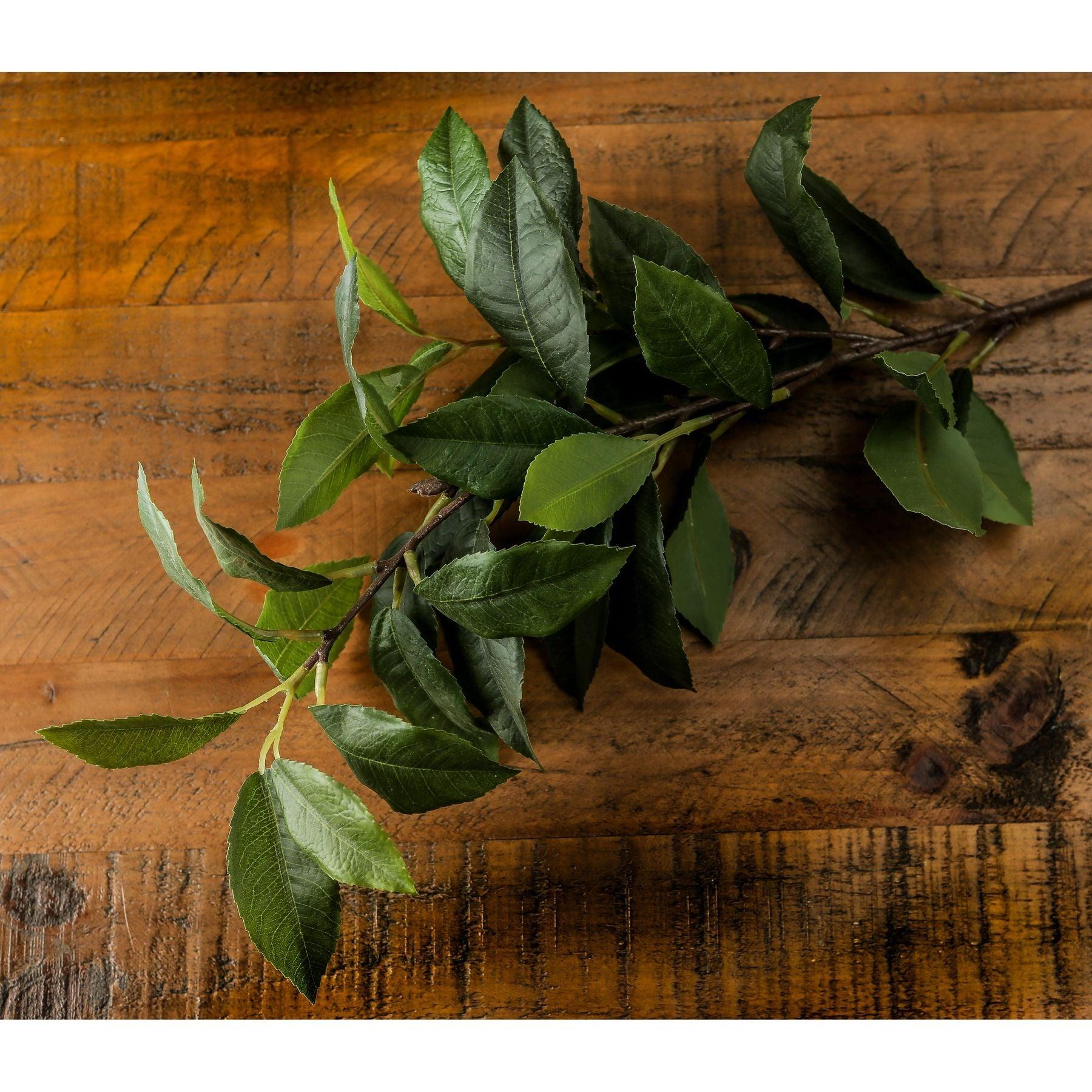 Laurel Leaf Spray - Eudemonia Home Goods