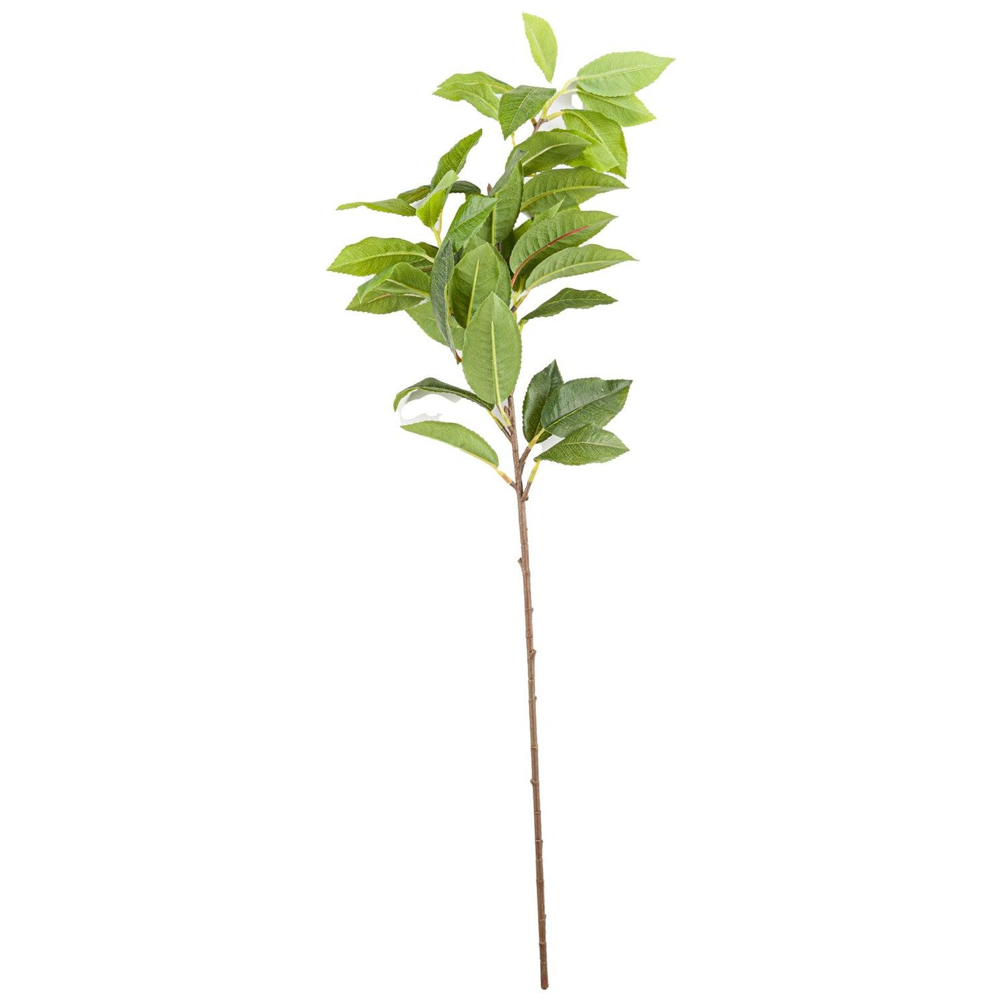 Laurel Leaf Spray - Eudemonia Home Goods