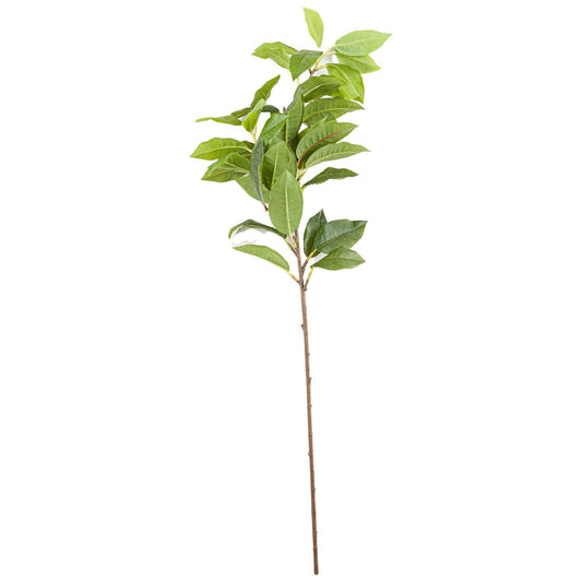 Laurel Leaf Spray - Eudemonia Home Goods