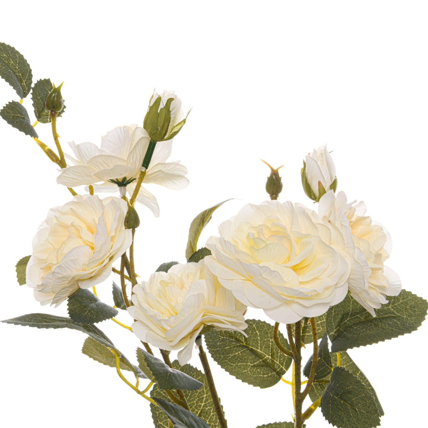 Soft White Cottage Rose Stem - Eudemonia Home Goods