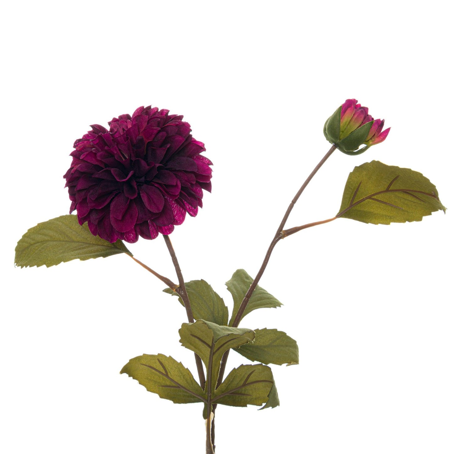 Deep Purple Dahlia Stem - Eudemonia Home Goods