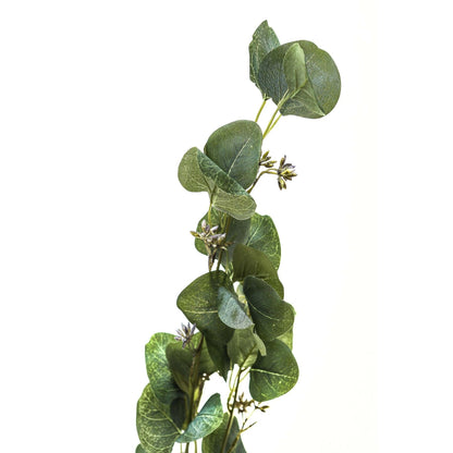 Eucalyptus Stem Spray - Eudemonia Home Goods