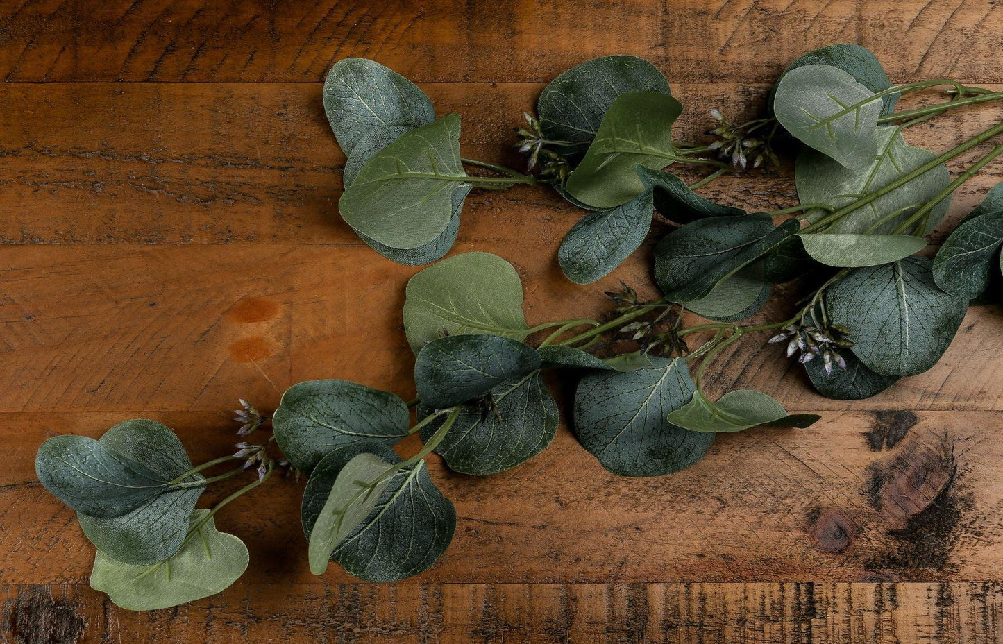 Eucalyptus Stem Spray - Eudemonia Home Goods
