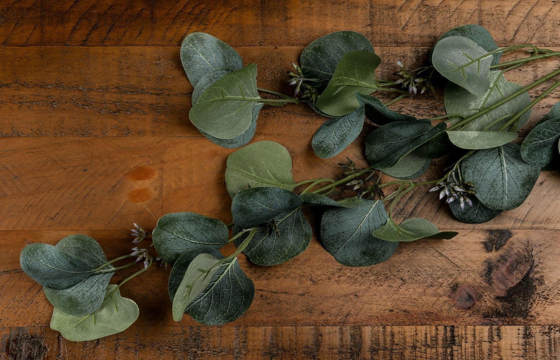 Eucalyptus Stem Spray - Eudemonia Home Goods