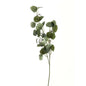Eucalyptus Stem Spray - Eudemonia Home Goods
