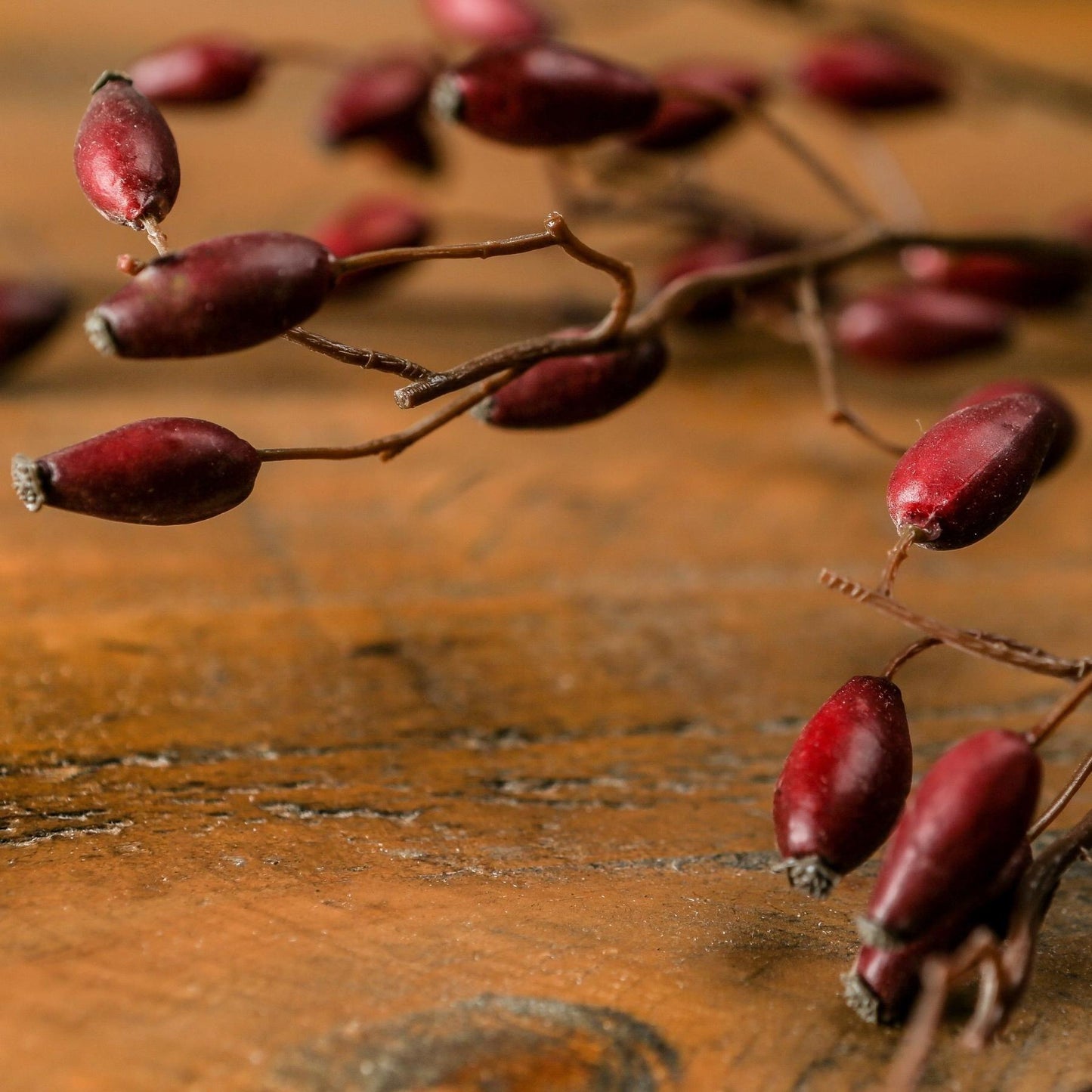 Burgundy Rosehip Stem - Eudemonia Home Goods