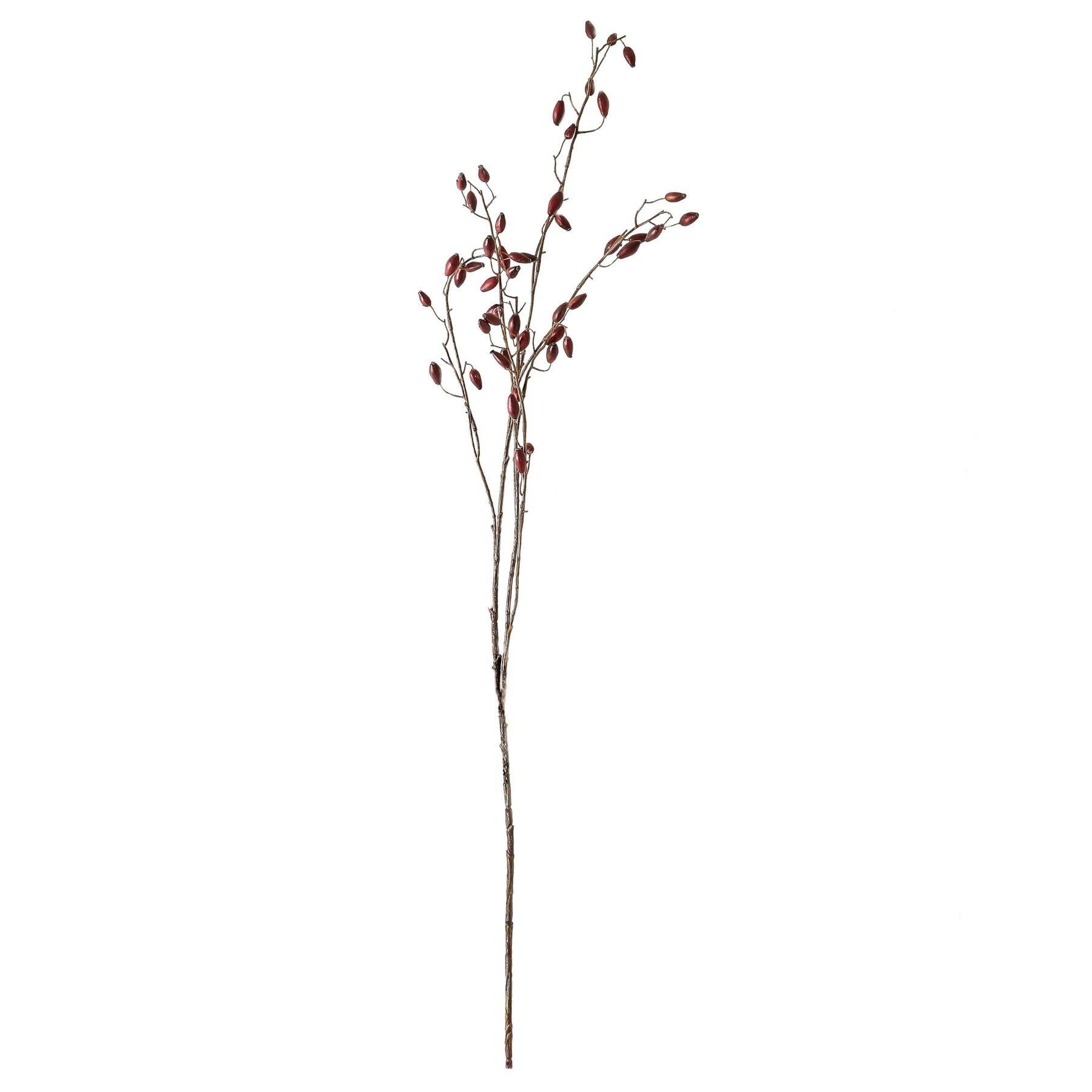 Burgundy Rosehip Stem - Eudemonia Home Goods