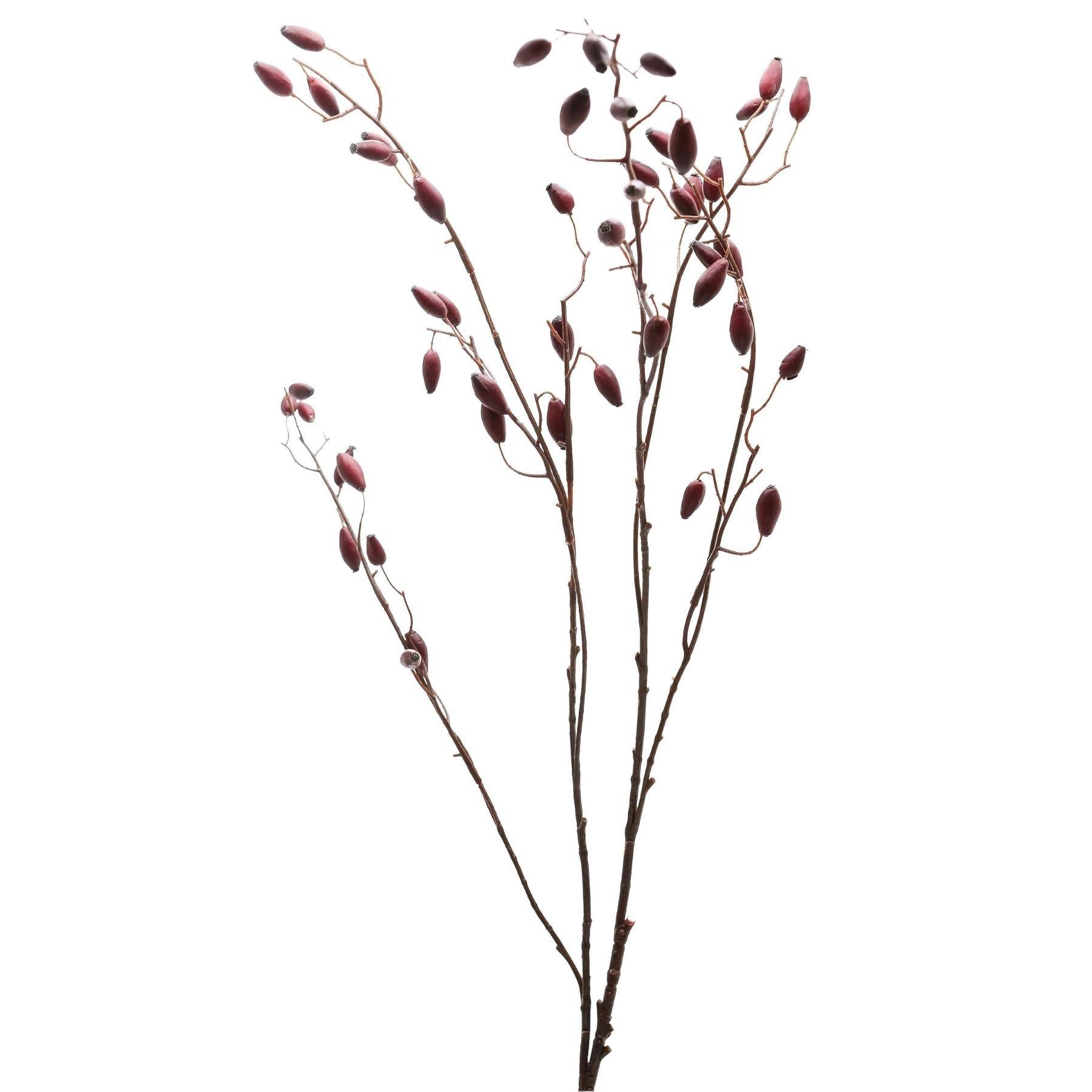 Burgundy Rosehip Stem - Eudemonia Home Goods