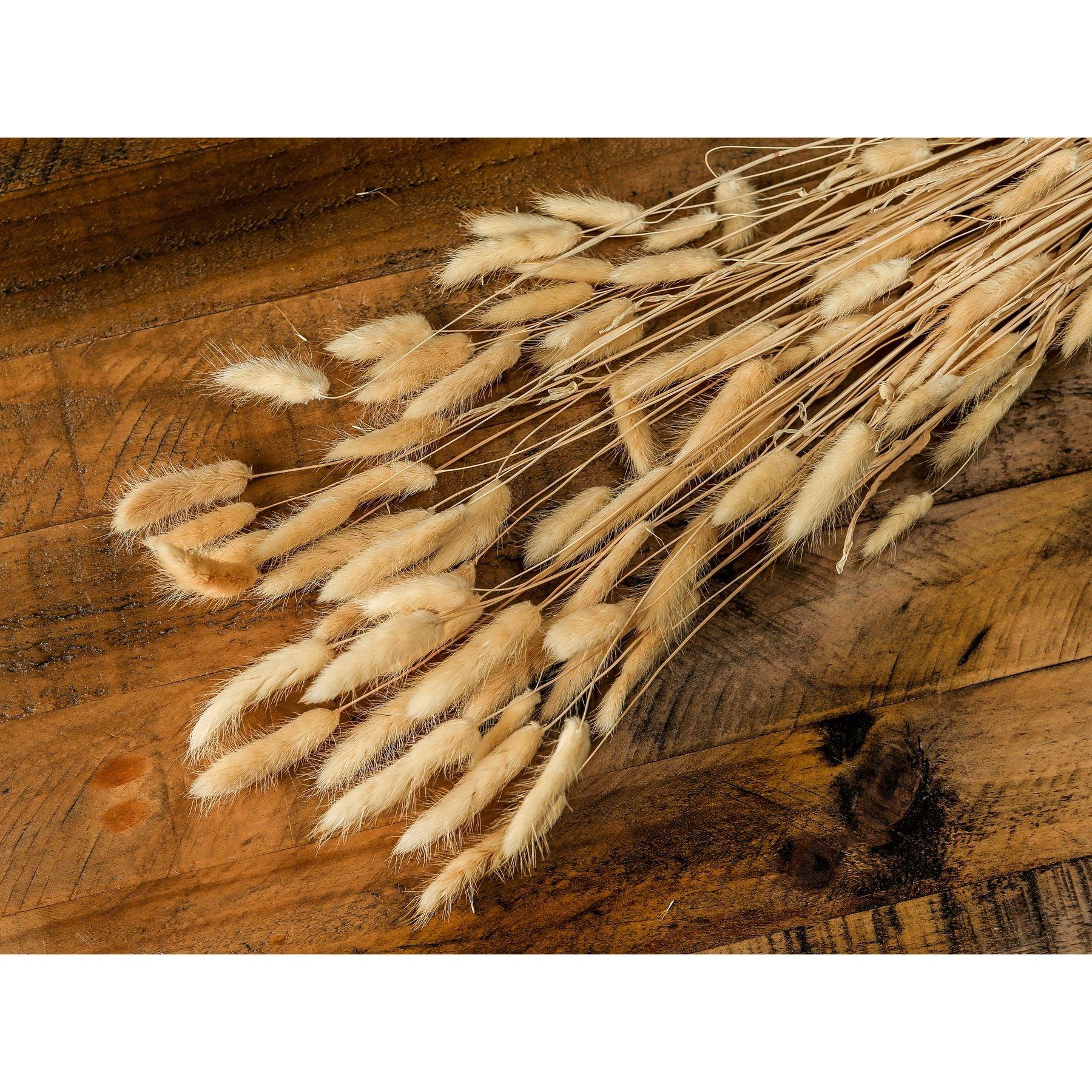 Bouquet Of Tall Bunny Tails - Eudemonia Home Goods