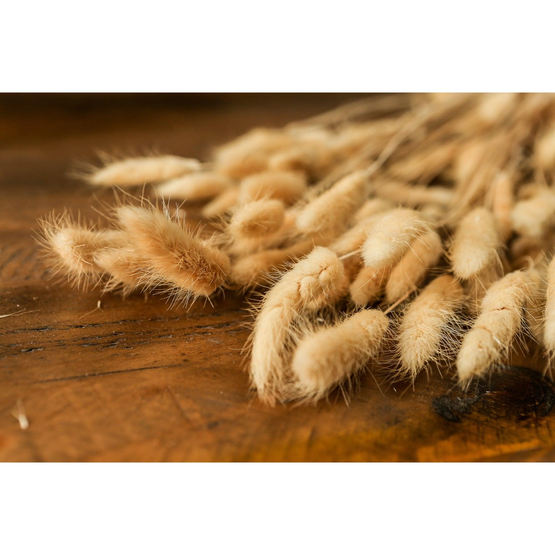 Bouquet Of Tall Bunny Tails - Eudemonia Home Goods