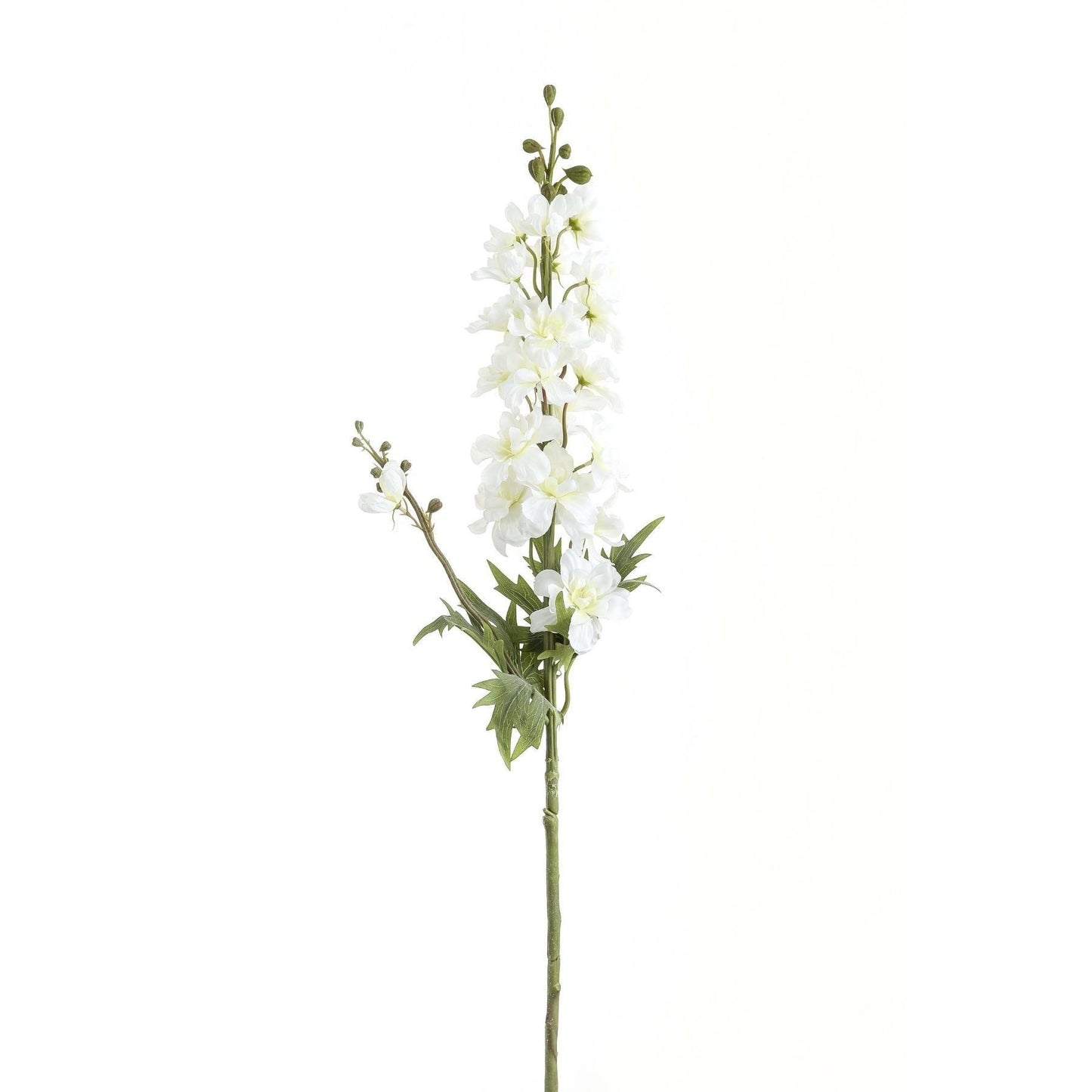 Tall White Delphinium Stem - Eudemonia Home Goods
