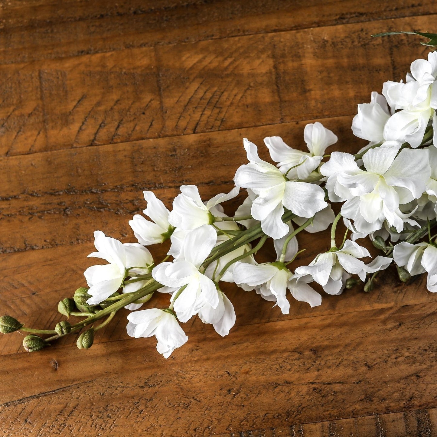Tall White Delphinium Stem - Eudemonia Home Goods
