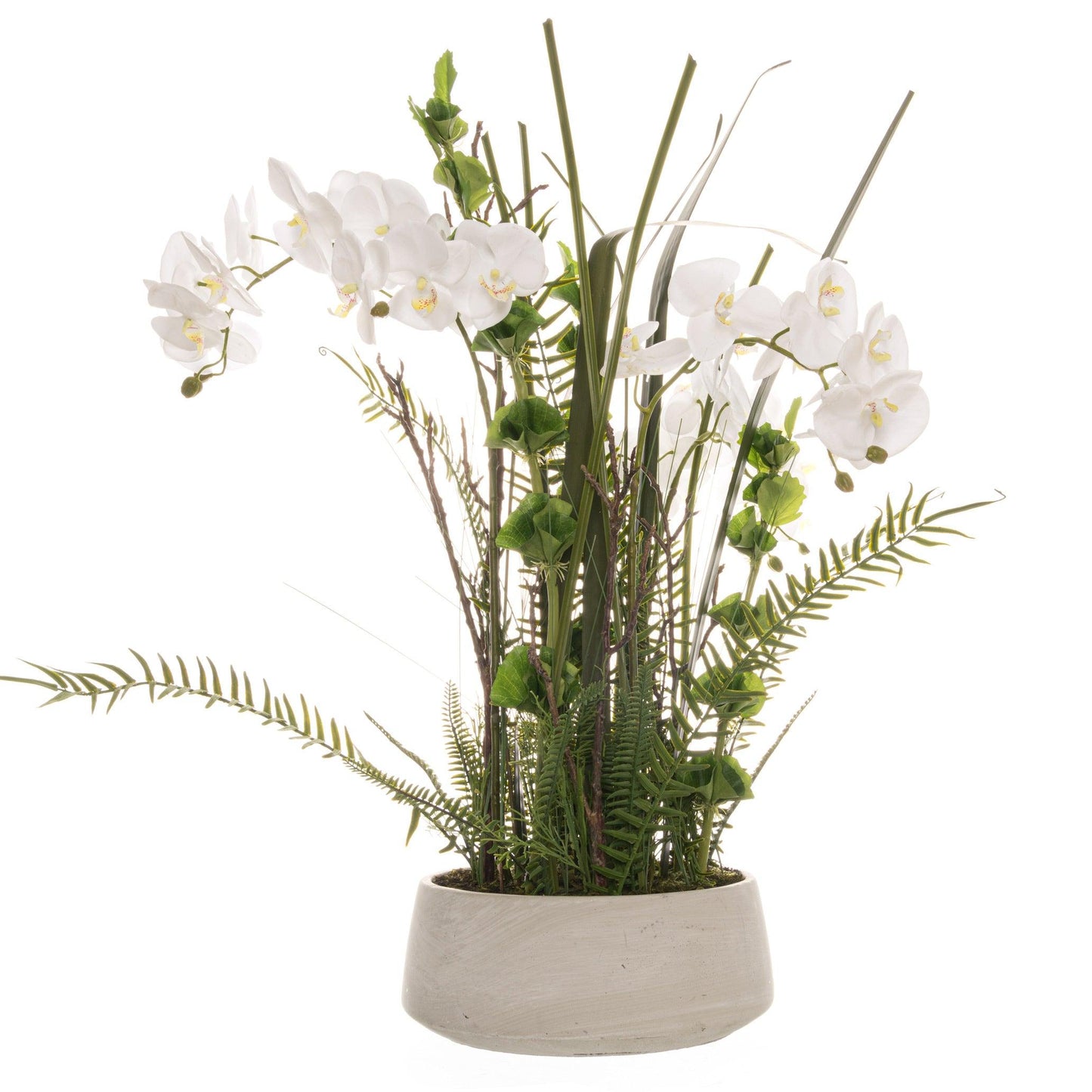 Arge Potted Ochid In Stone Pot With Fern Detail - Eudemonia Home Goods