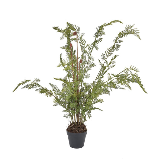 Large Tall Black Potted Fern - Eudemonia Home Goods