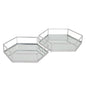 Silver Hexagon Set Of Two Trays - Eudemonia Home Goods