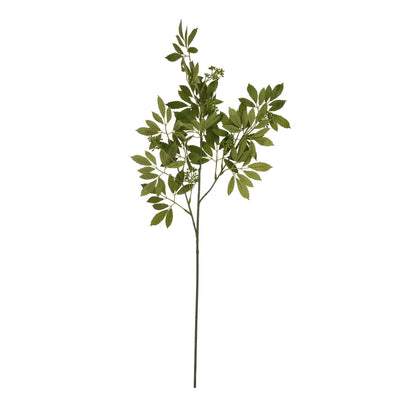 Long Fennel Stem - Eudemonia Home Goods