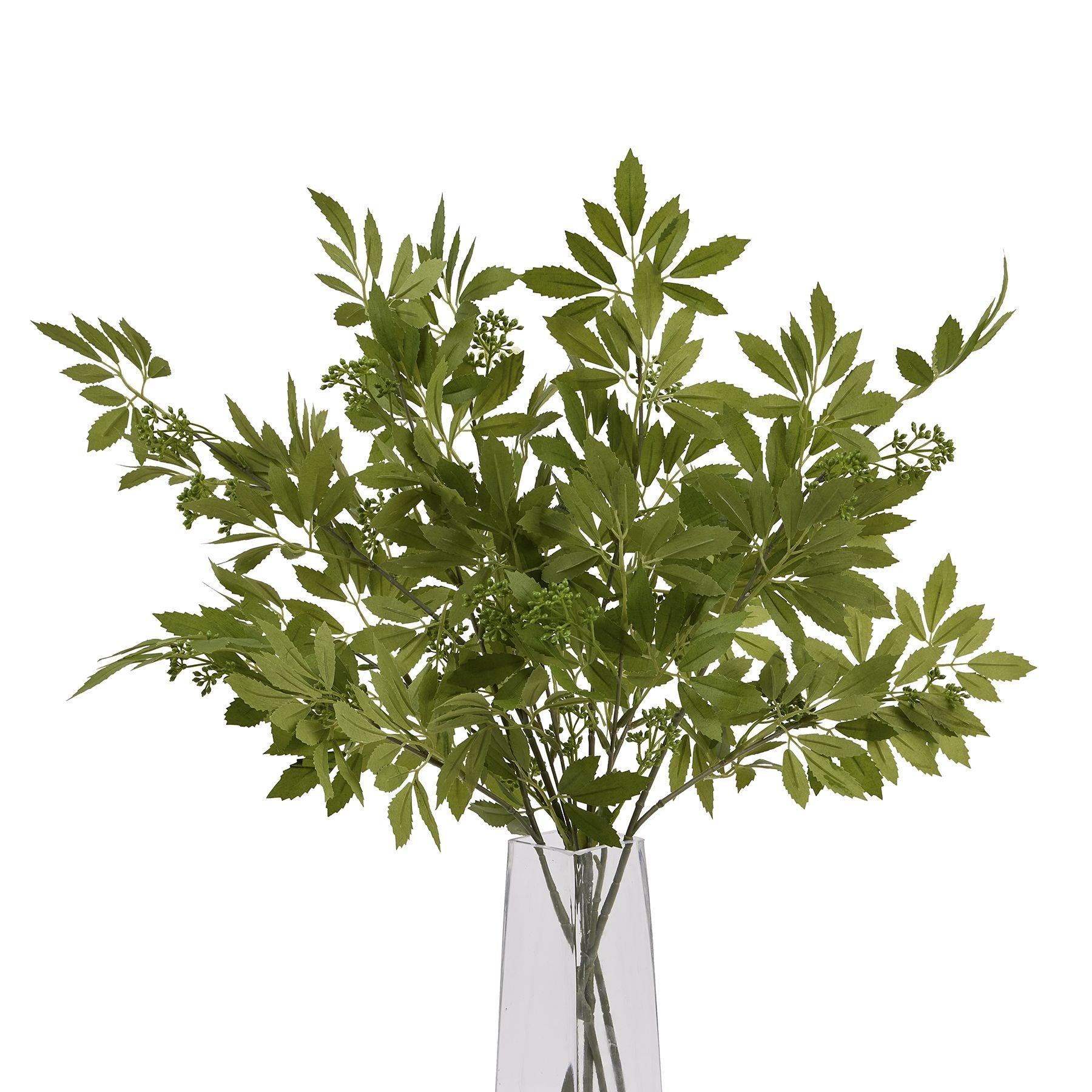 Long Fennel Stem - Eudemonia Home Goods