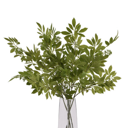 Long Fennel Stem - Eudemonia Home Goods
