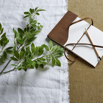Long Fennel Stem - Eudemonia Home Goods