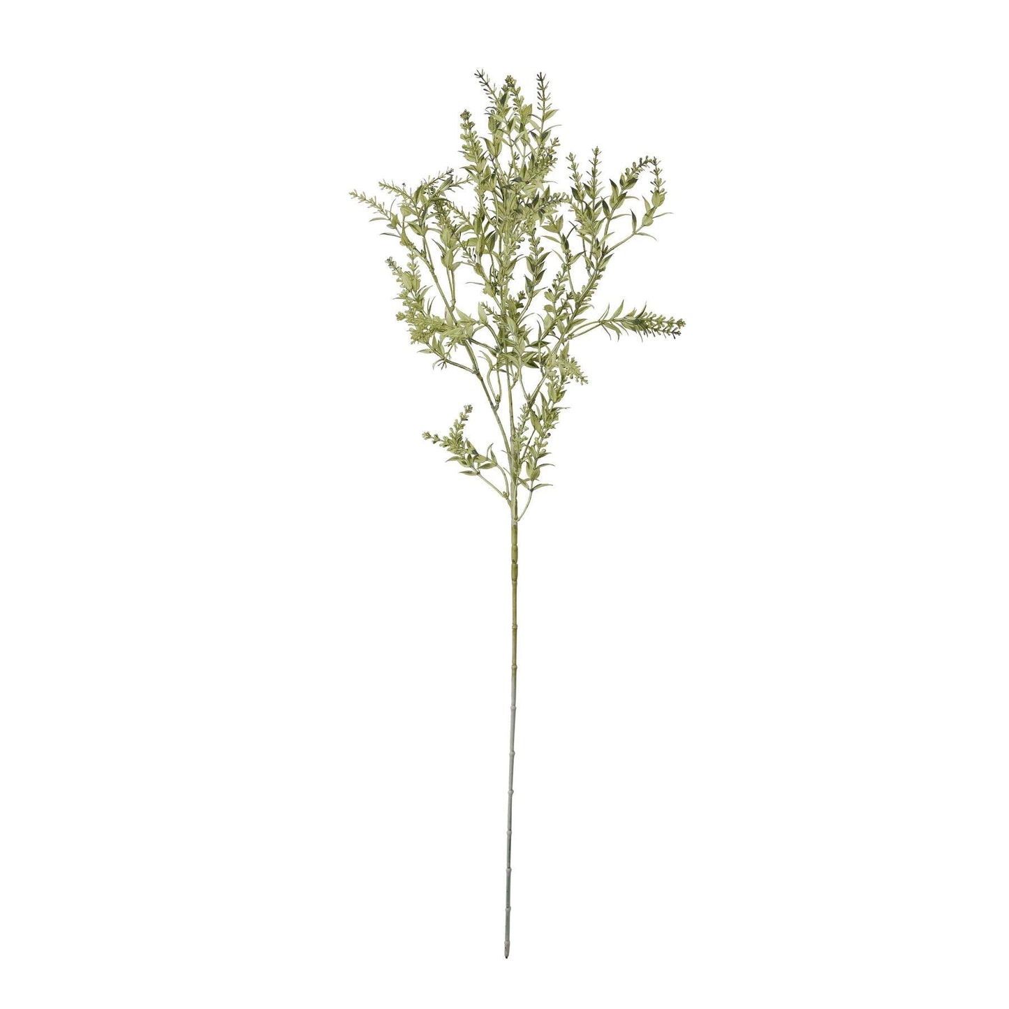 Broom Stem - Eudemonia Home Goods