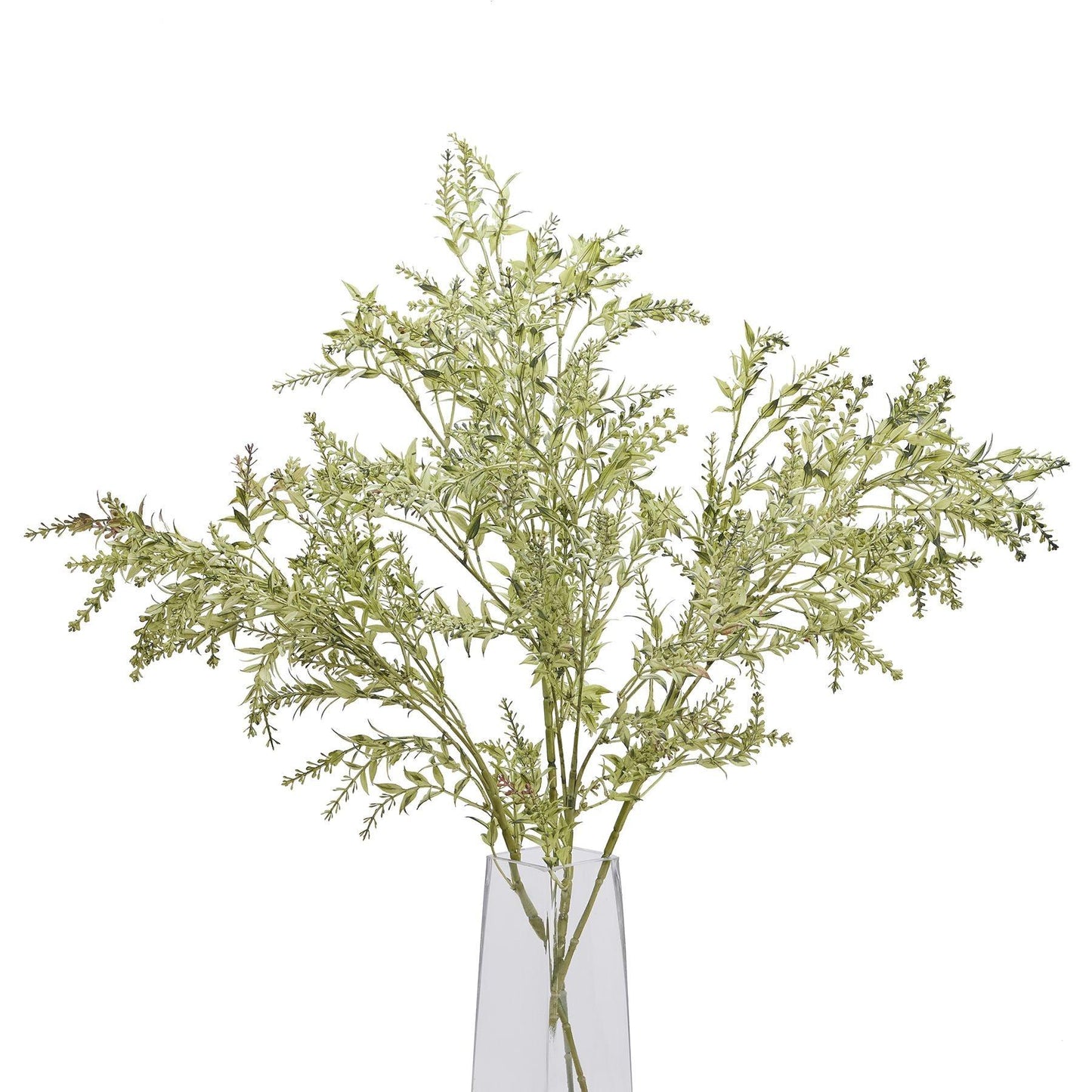 Broom Stem - Eudemonia Home Goods