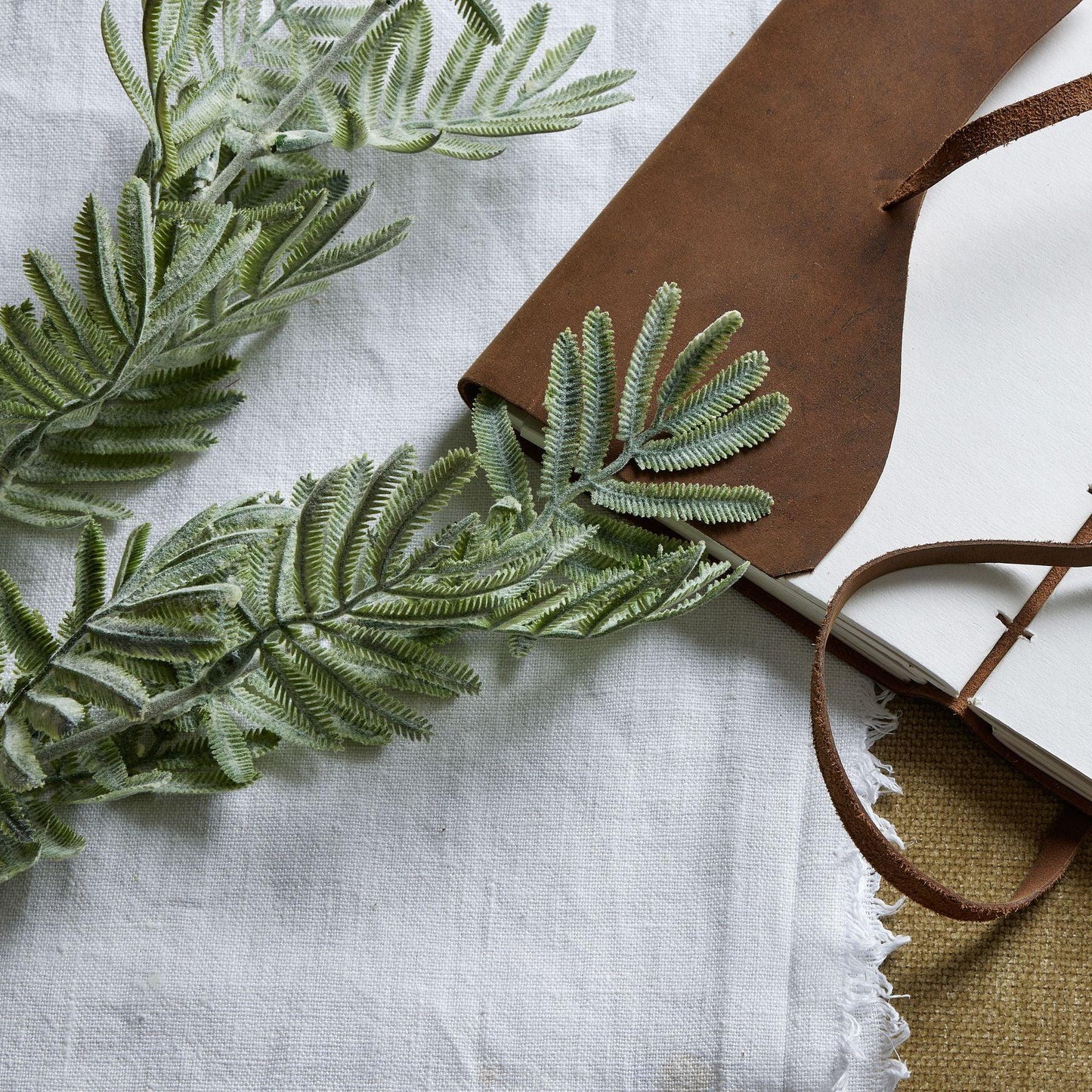 Silver Wattle Leaf - Eudemonia Home Goods