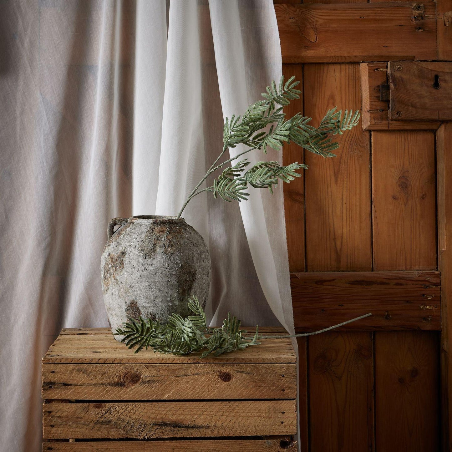 Silver Wattle Leaf - Eudemonia Home Goods