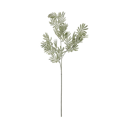 Silver Wattle Leaf - Eudemonia Home Goods