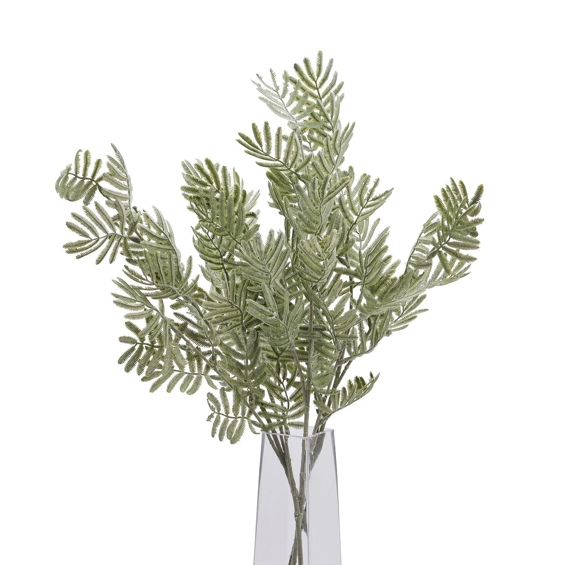 Silver Wattle Leaf - Eudemonia Home Goods