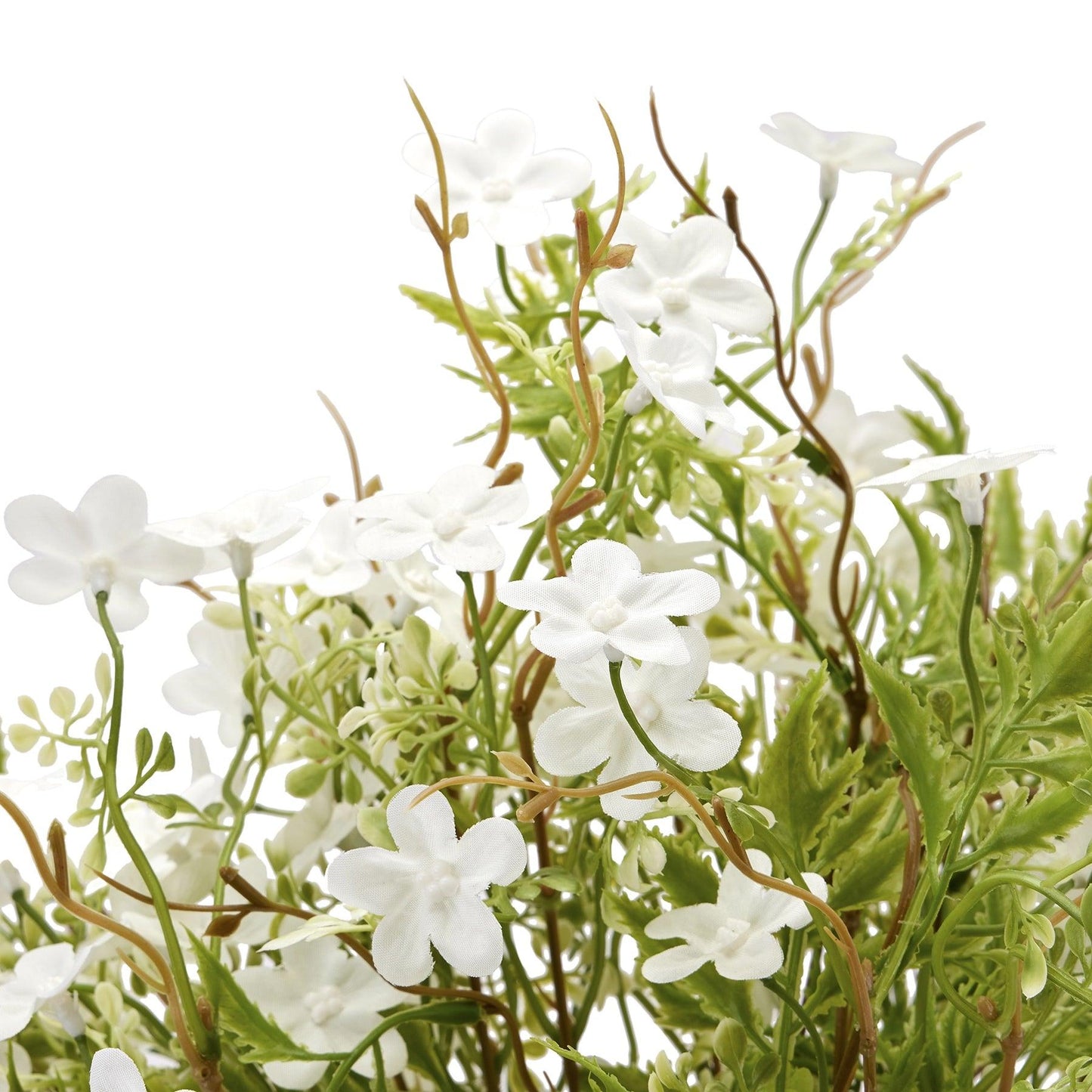 Italian White Bellflower - Eudemonia Home Goods