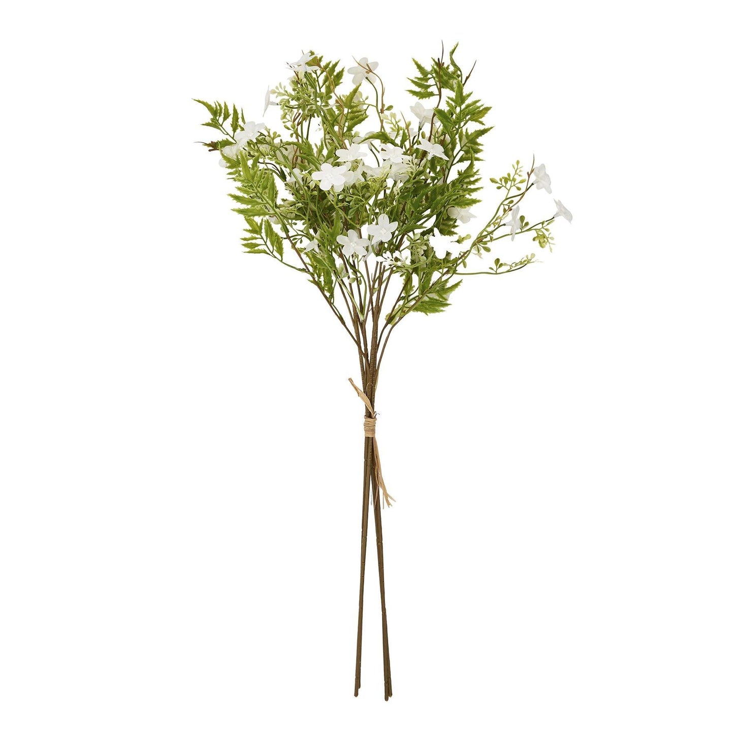 Italian White Bellflower - Eudemonia Home Goods
