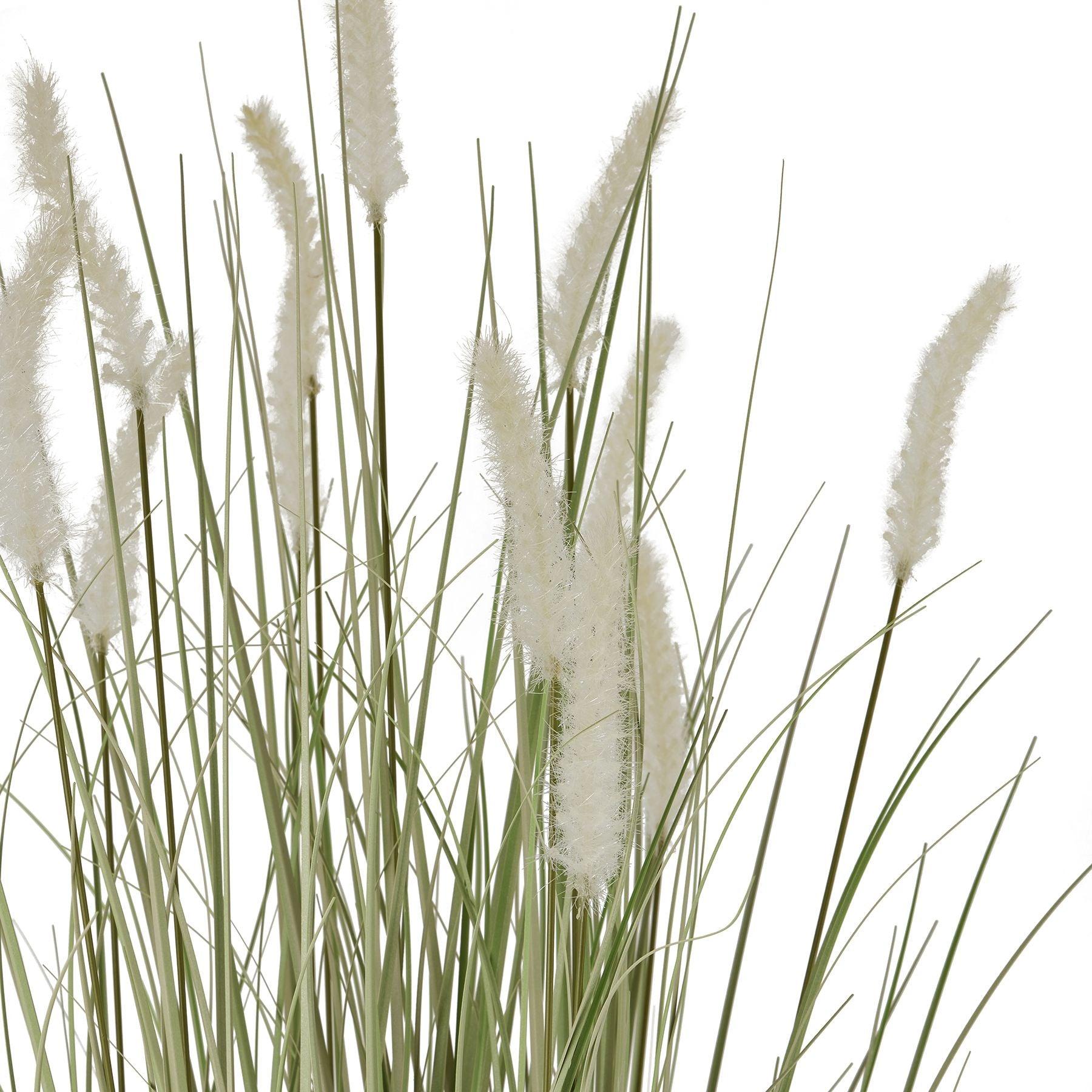Large Bunny Tail Grass - Eudemonia Home Goods
