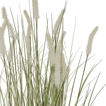 Large Bunny Tail Grass - Eudemonia Home Goods