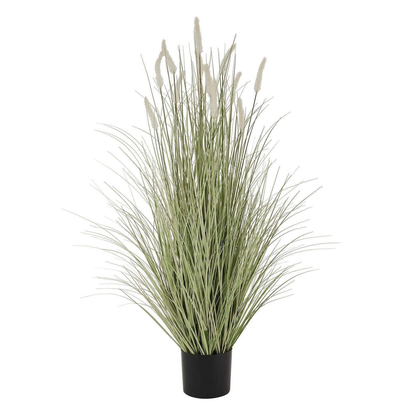 Large Bunny Tail Grass - Eudemonia Home Goods