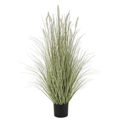 Large Bunny Tail Grass - Eudemonia Home Goods