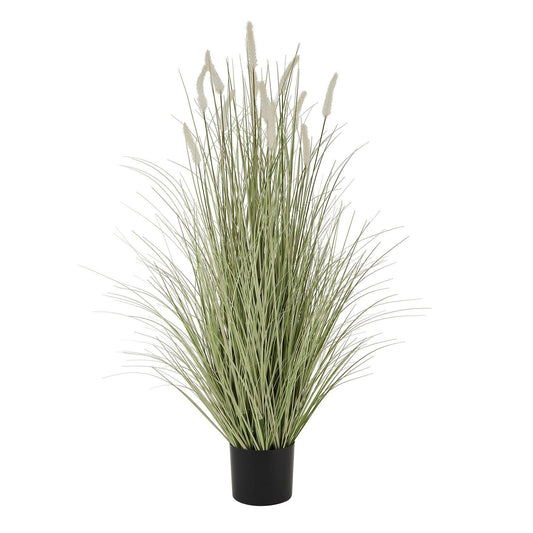Large Bunny Tail Grass - Eudemonia Home Goods