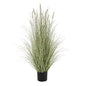 Large Bunny Tail Grass - Eudemonia Home Goods