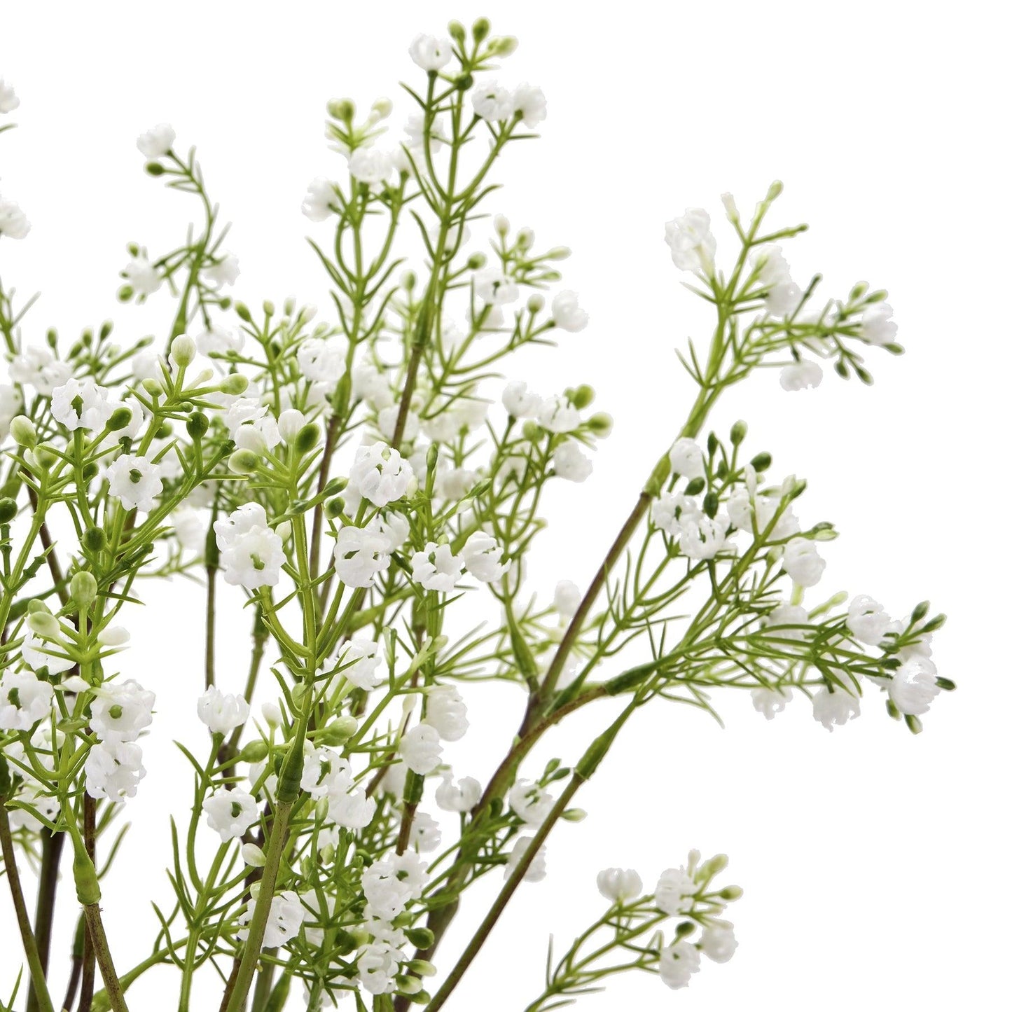 Lily Of The Valley - Eudemonia Home Goods