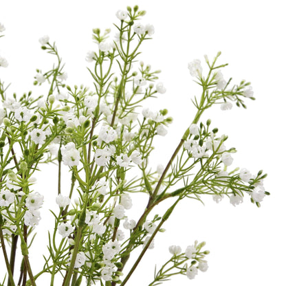 Lily Of The Valley - Eudemonia Home Goods